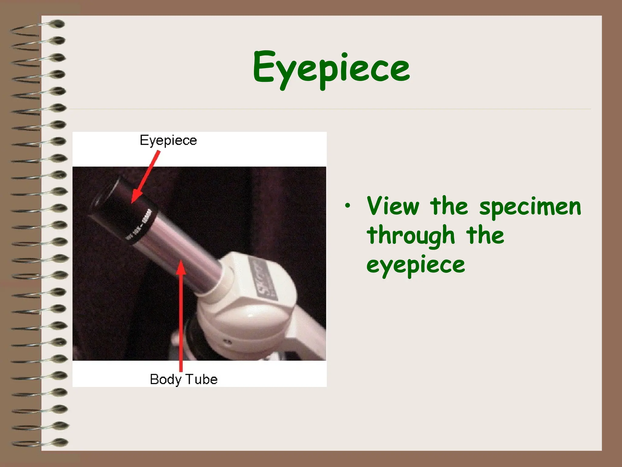 Eyepiece
• View the specimen
through the
eyepiece
 
