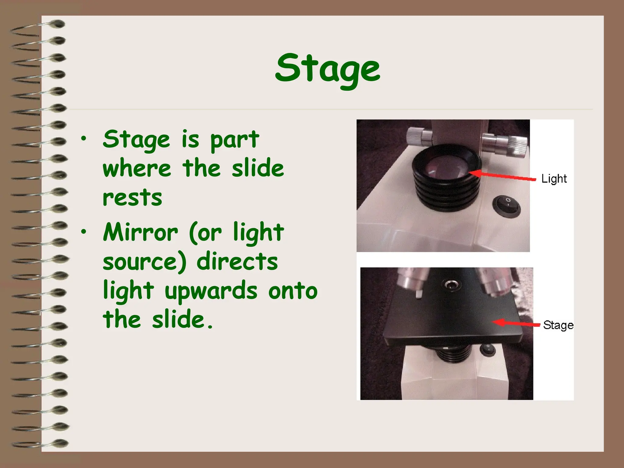 Stage
• Stage is part
where the slide
rests
• Mirror (or light
source) directs
light upwards onto
the slide.
 