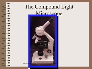 Microscope Presentation Microscope.ppt.. gsorbifosjfosveofiaiwvfof | PPT