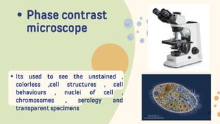 Cell Types Microscope Microscope and its types and uses in lab | PDF