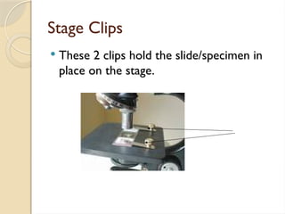 Stage Clips
 These 2 clips hold the slide/specimen in
place on the stage.
 