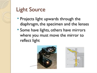 Light Source
 Projects light upwards through the
diaphragm, the specimen and the lenses
 Some have lights, others have mirrors
where you must move the mirror to
reflect light
 
