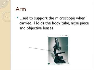 Arm
 Used to support the microscope when
carried. Holds the body tube, nose piece
and objective lenses
 