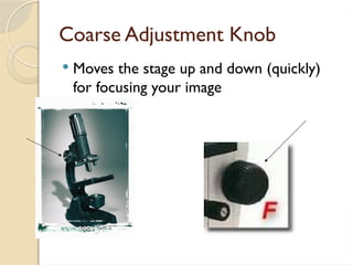 Coarse Adjustment Knob
 Moves the stage up and down (quickly)
for focusing your image
 