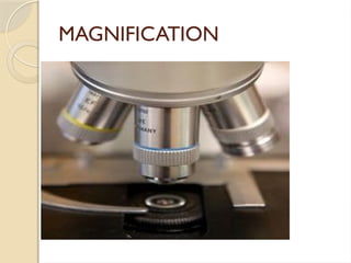MAGNIFICATION
 