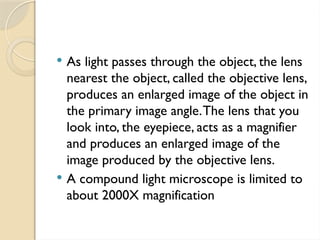  As light passes through the object, the lens
nearest the object, called the objective lens,
produces an enlarged image of the object in
the primary image angle.The lens that you
look into, the eyepiece, acts as a magnifier
and produces an enlarged image of the
image produced by the objective lens.
 A compound light microscope is limited to
about 2000X magnification
 