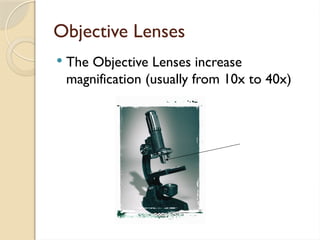 Objective Lenses
 The Objective Lenses increase
magnification (usually from 10x to 40x)
 