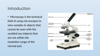 Normal Light Microscope Microscope. types microscope light and electron | PPTX