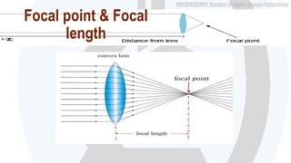 Focal Distance Microscope Microscopes- basics of optics | PPTX