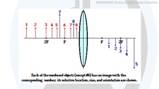 Microscopes- basics of optics | PPTX