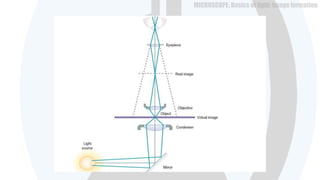 Microscopes- basics of optics | PPTX