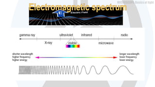 Microscopes- basics of optics | PPTX
