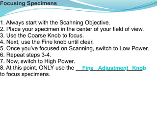 Focusing Specimens
1. Always start with the Scanning Objective.
2. Place your specimen in the center of your field of view.
3. Use the Coarse Knob to focus.
4. Next, use the Fine knob until clear.
5. Once you've focused on Scanning, switch to Low Power.
6. Repeat steps 3-4.
7. Now, switch to High Power.
8. At this point, ONLY use the ____ ___________ _____
to focus specimens.
Fine Adjustment Knob
 