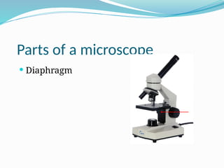Parts of a microscope
 Diaphragm
 