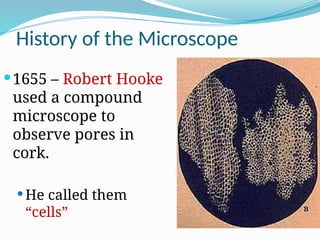 History of the Microscope
1655 – Robert Hooke
used a compound
microscope to
observe pores in
cork.
 He called them
“cells”
 