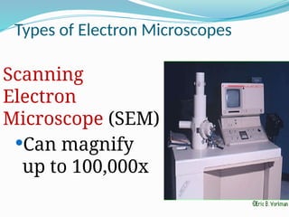 Types of Electron Microscopes
Scanning
Electron
Microscope (SEM)
Can magnify
up to 100,000x
 