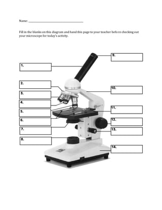 Microscope parts labeled worksheet