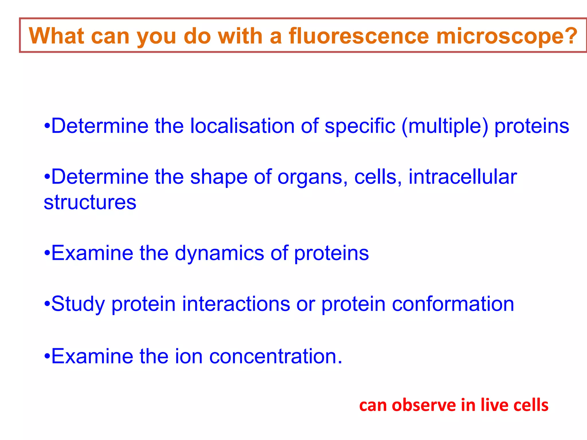 What can you do with a fluorescence microscope?
•Determine the localisation of specific (multiple) proteins
•Determine the shape of organs, cells, intracellular
structures
•Examine the dynamics of proteins
•Study protein interactions or protein conformation
•Examine the ion concentration.
can observe in live cells