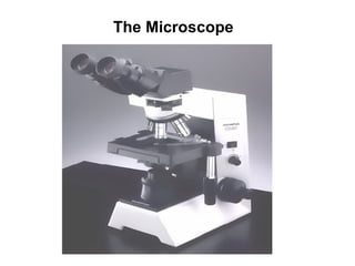 The Microscope   