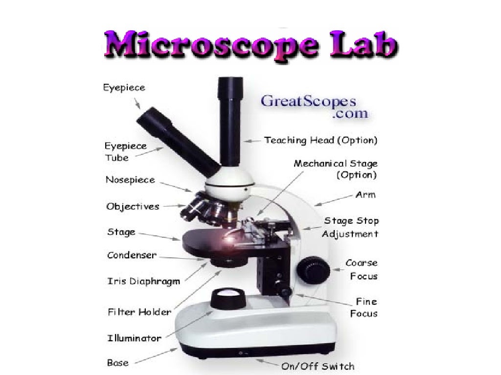 Microscope Lab