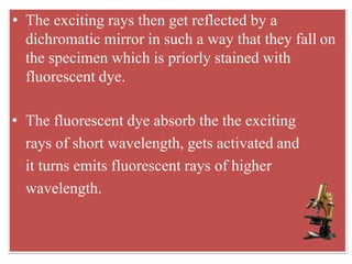 • The exciting rays then get reflected by a
dichromatic mirror in such a way that they fall on
the specimen which is priorly stained with
fluorescent dye.
• The fluorescent dye absorb the the exciting
rays of short wavelength, gets activated and
it turns emits fluorescent rays of higher
wavelength.
 