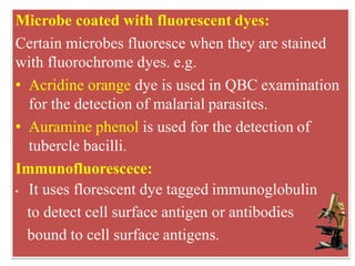 Microbe coated with fluorescent dyes:
Certain microbes fluoresce when they are stained
with fluorochrome dyes. e.g.
• Acridine orange dye is used in QBC examination
for the detection of malarial parasites.
• Auramine phenol is used for the detection of
tubercle bacilli.
Immunofluorescece:
• It uses florescent dye tagged immunoglobulin
to detect cell surface antigen or antibodies
bound to cell surface antigens.
 