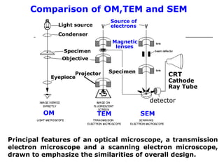 Principal features of an optical microscope, a transmission
electron microscope and a scanning electron microscope,
drawn to emphasize the similarities of overall design.
Comparison of OM,TEM and SEM
OM TEM SEM
Magnetic
lenses
detector
CRT
Cathode
Ray Tube
Light source
Source of
electrons
Condenser
Specimen
Objective
Eyepiece
Projector Specimen
 