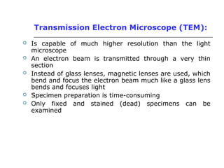Transmission Electron Microscope (TEM):
 Is capable of much higher resolution than the light
microscope
 An electron beam is transmitted through a very thin
section
 Instead of glass lenses, magnetic lenses are used, which
bend and focus the electron beam much like a glass lens
bends and focuses light
 Specimen preparation is time-consuming
 Only fixed and stained (dead) specimens can be
examined
 