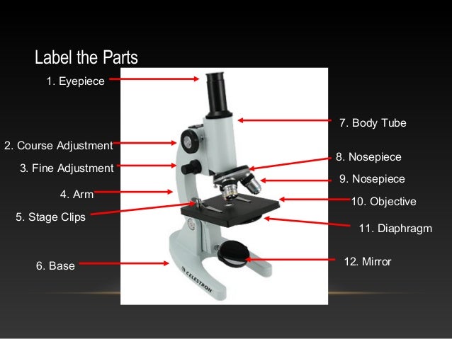 33 Label The Parts And Functions Of The Microscope