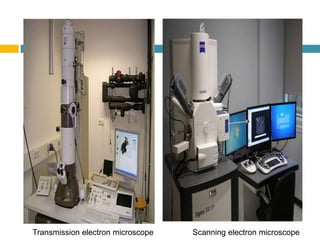 Transmission electron microscope Scanning electron microscope
 