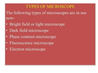 MICROSCOPE (1).pptx