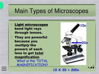 microscope 2.pdf