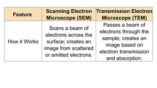 Comprehensive Guide to Light and Electron Microscopes in Cell Study | PPTX