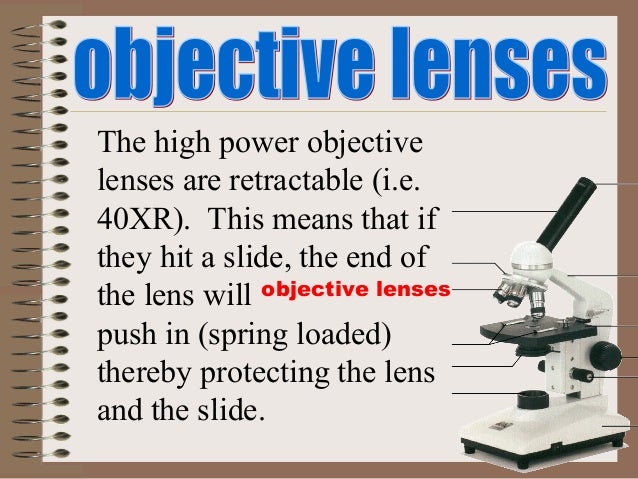 Microscope3