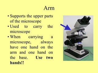 MICROSCOPE (3).ppt