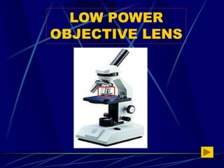 Low Power Objective Lens Example MICROSCOPE (3).ppt