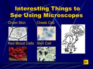 MICROSCOPE (3).ppt