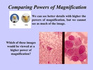 Comparing Powers of Magnification We can see better details with higher the powers of magnification, but we cannot see as much of the image. Which of these images would be viewed at a higher power of magnification? 