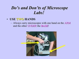 Do’s and Don’ts of Microscope Labs!  USE  TWO   HANDS Always carry microscopes with one hand on the  ARM  and the other  UNDER  the  BASE ! 