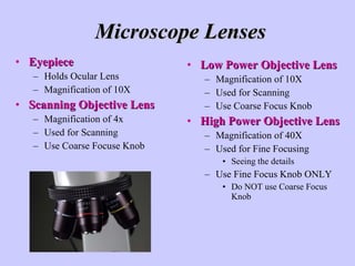 Microscope Lenses Eyepiece Holds Ocular Lens Magnification of 10X Scanning Objective Lens Magnification of 4x Used for Scanning Use Coarse Focuse Knob Low Power Objective Lens Magnification of 10X Used for Scanning Use Coarse Focus Knob High Power Objective Lens Magnification of 40X Used for Fine Focusing Seeing the details Use Fine Focus Knob ONLY Do NOT use Coarse Focus Knob 