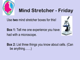 Mind Stretcher - Friday ,[object Object],[object Object],[object Object],[object Object]