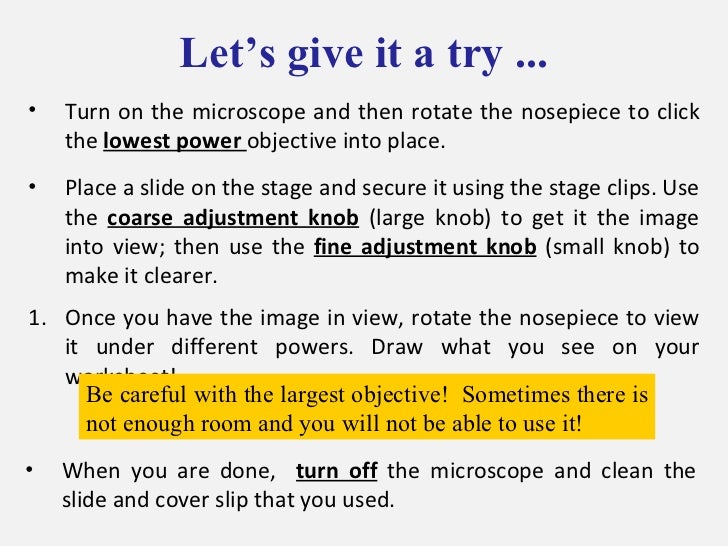 Microscope basics