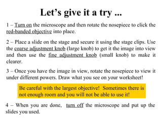 Let’s give it a try ...
1 – Turn on the microscope and then rotate the nosepiece to click the
red-banded objective into place.
2 – Place a slide on the stage and secure it using the stage clips. Use
the coarse adjustment knob (large knob) to get it the image into view
and then use the fine adjustment knob (small knob) to make it
clearer.
4 – When you are done, turn off the microscope and put up the
slides you used.
3 – Once you have the image in view, rotate the nosepiece to view it
under different powers. Draw what you see on your worksheet!
Be careful with the largest objective! Sometimes there is
not enough room and you will not be able to use it!
 