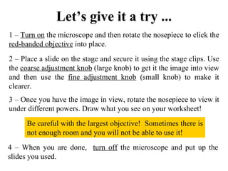 Let’s give it a try ... 1 –  Turn on  the microscope and then rotate the nosepiece to click the  red-banded objective  into place. 2 – Place a slide on the stage and secure it using the stage clips. Use the  coarse adjustment knob  (large knob) to get it the image into view and then use the  fine adjustment knob  (small knob) to make it clearer.  4 – When you are done,   turn off  the microscope and put up the slides you used. 3 – Once you have the image in view, rotate the nosepiece to view it under different powers. Draw what you see on your worksheet! Be careful with the largest objective!  Sometimes there is not enough room and you will not be able to use it!  