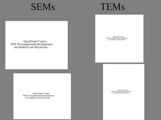 SEMs                         TEMs

                                                         QuickTime™ and a
                                              TIFF (Uncompressed) decompressor
                                                 are needed to see this picture.
           QuickTime™ and a
TIFF (Uncompressed) decompressor
   are needed to see this picture.




                                                                QuickTime™ and a
                                                     TIFF (Uncompressed) decompressor
                                                        are needed to see this picture.
                    QuickTime™ and a
         TIFF (Uncompressed) decompressor
            are needed to see this picture.
 