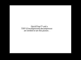 QuickTime™ and a
TIFF (Uncompressed) decompressor
   are needed to see this picture.
 