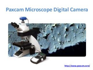 Paxcam Microscope Digital Camera
http://www.paxcam.com/
 