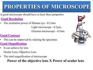 Microscope