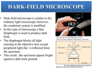Microscope