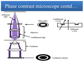 Microscope